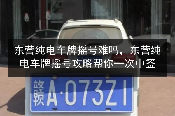 东营纯电车牌摇号难吗，东营纯电车牌摇号攻略帮你一次中签 第1张