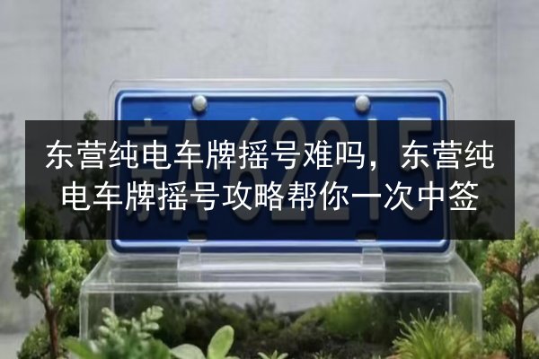 东营纯电车牌摇号难吗，东营纯电车牌摇号攻略帮你一次中签 第2张