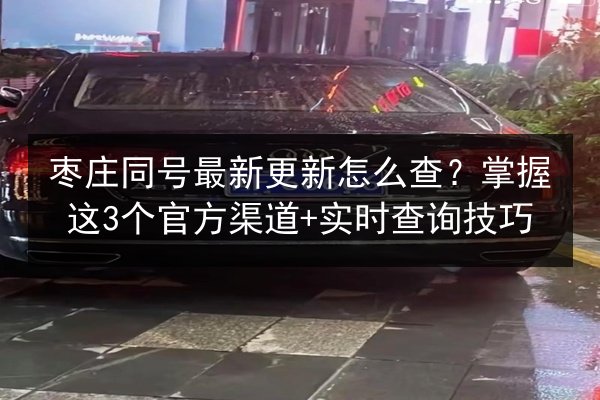 枣庄同号最新更新怎么查？掌握这3个官方渠道+实时查询技巧 第2张