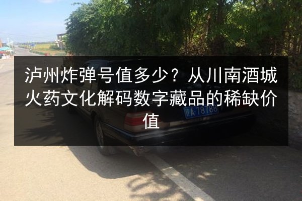 泸州炸弹号值多少？从川南酒城火药文化解码数字藏品的稀缺价值 第2张