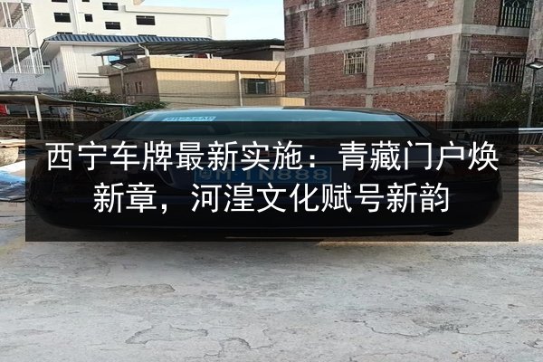 西宁车牌最新实施:青藏门户焕新章,河湟文化赋号新韵 第3张 西宁车牌最新实施:青藏门户焕新章,河湟文化赋号新韵 第3张