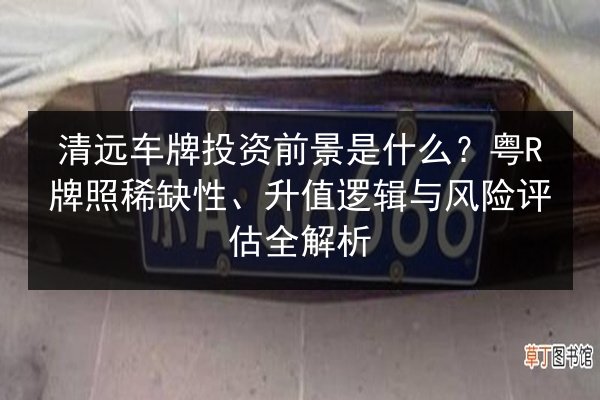 清远车牌投资前景是什么?粤R牌照稀缺性、升值逻辑与风险评估全解析 第3张 清远车牌投资前景是什么?粤R牌照稀缺性、升值逻辑与风险评估全解析 第3张