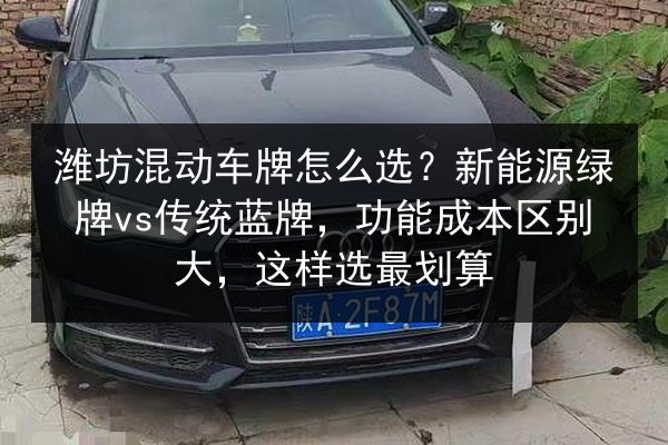 潍坊混动车牌怎么选？新能源绿牌vs传统蓝牌，功能成本区别大，这样选最划算