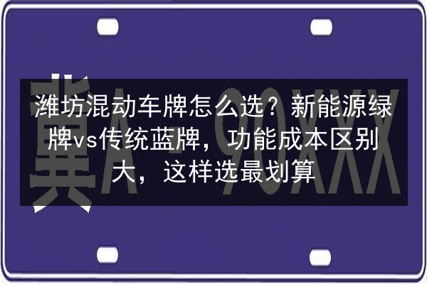 潍坊混动车牌怎么选？新能源绿牌vs传统蓝牌，功能成本区别大，这样选最划算 第3张