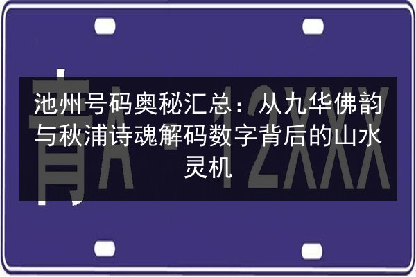 池州号码奥秘汇总：从九华佛韵与秋浦诗魂解码数字背后的山水灵机