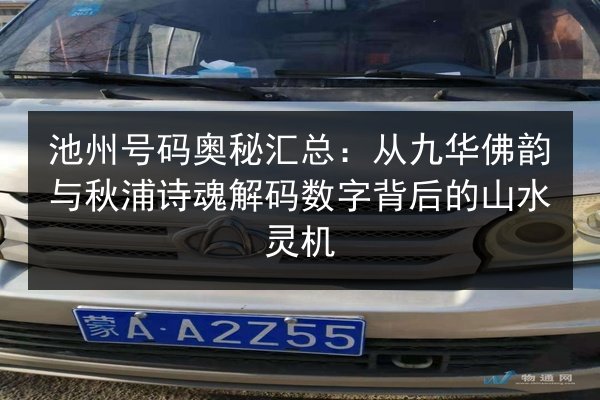 池州号码奥秘汇总:从九华佛韵与秋浦诗魂解码数字背后的山水灵机 第2张 池州号码奥秘汇总:从九华佛韵与秋浦诗魂解码数字背后的山水灵机 第2张