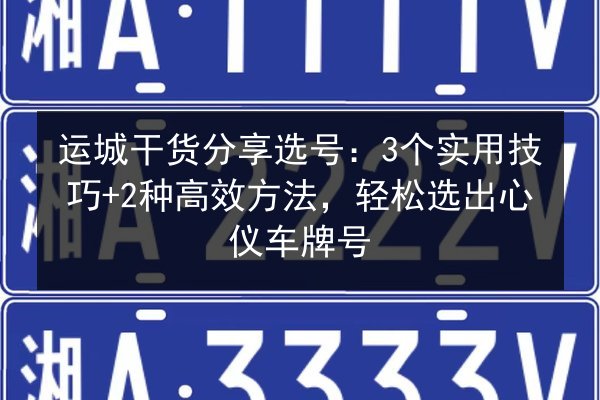 运城干货分享选号：3个实用技巧+2种高效方法，轻松选出心仪车牌号 第2张