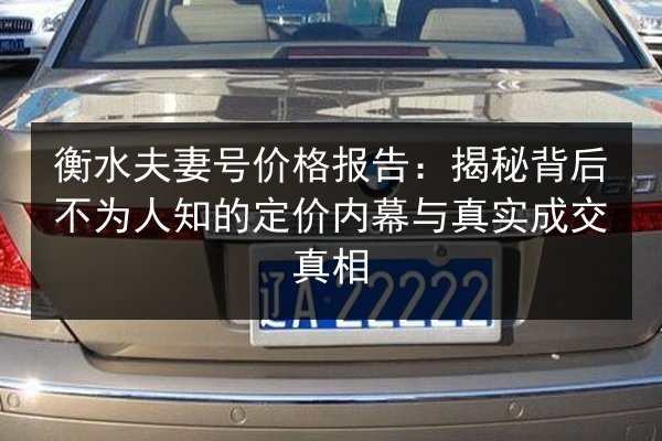 衡水夫妻号价格报告:揭秘背后不为人知的定价内幕与真实成交真相 第2张 衡水夫妻号价格报告:揭秘背后不为人知的定价内幕与真实成交真相 第2张