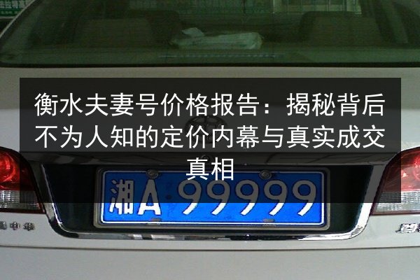 衡水夫妻号价格报告:揭秘背后不为人知的定价内幕与真实成交真相 第3张 衡水夫妻号价格报告:揭秘背后不为人知的定价内幕与真实成交真相 第3张