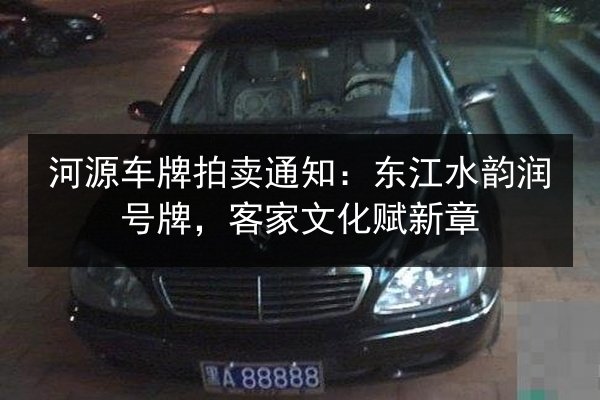 河源车牌拍卖通知：东江水韵润号牌，客家文化赋新章 第2张