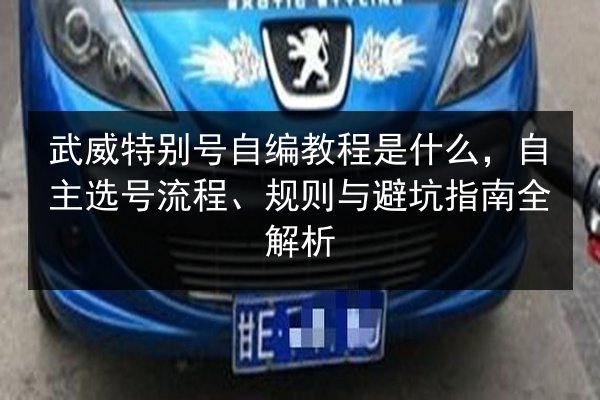 武威特别号自编教程是什么，自主选号流程、规则与避坑指南全解析