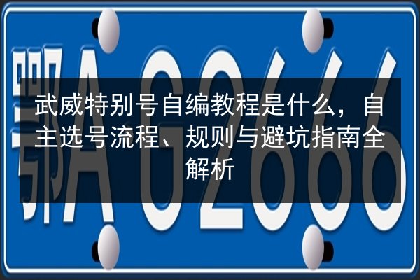 武威特别号自编教程是什么,自主选号流程、规则与避坑指南全解析 第2张 武威特别号自编教程是什么,自主选号流程、规则与避坑指南全解析 第2张