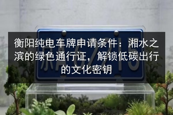 衡阳纯电车牌申请条件：湘水之滨的绿色通行证，解锁低碳出行的文化密钥 第3张