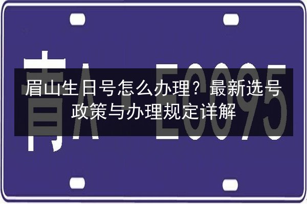眉山生日号怎么办理？最新选号政策与办理规定详解 第2张