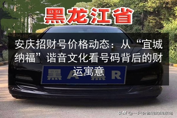安庆招财号价格动态：从“宜城纳福”谐音文化看号码背后的财运寓意 第3张