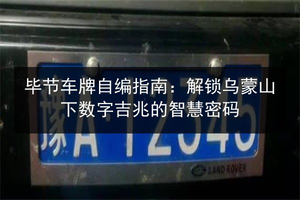 毕节车牌自编指南：解锁乌蒙山下数字吉兆的智慧密码 第3张