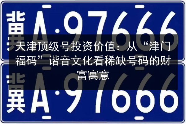 天津顶级号投资价值：从“津门福码”谐音文化看稀缺号码的财富寓意