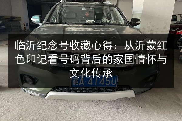 临沂纪念号收藏心得：从沂蒙红色印记看号码背后的家国情怀与文化传承 第3张