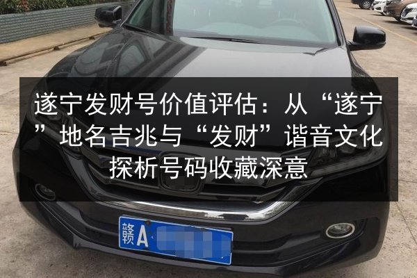 遂宁发财号价值评估：从“遂宁”地名吉兆与“发财”谐音文化探析号码收藏深意
