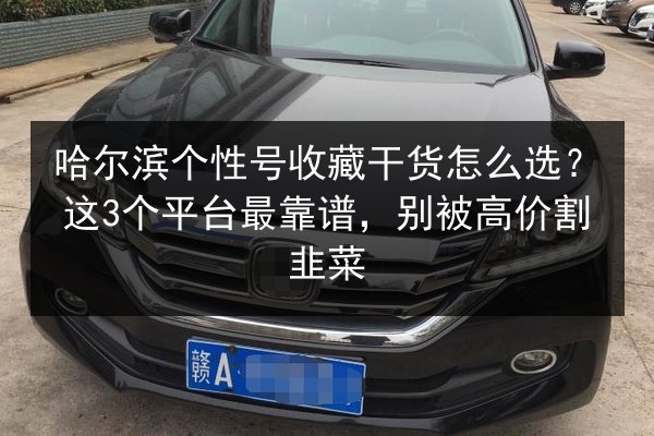 哈尔滨个性号收藏干货怎么选？这3个平台最靠谱，别被高价割韭菜 第3张