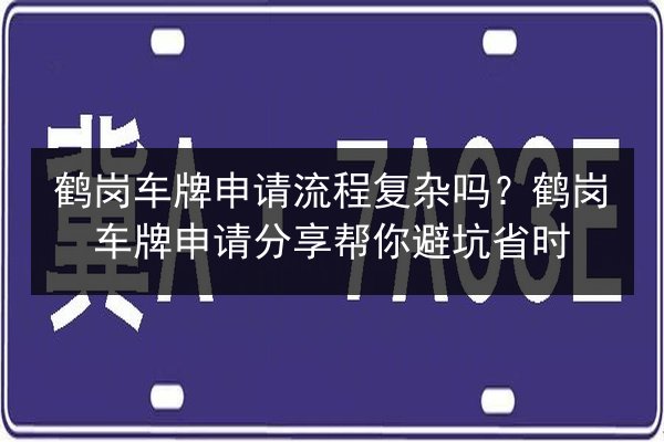 鹤岗车牌申请流程复杂吗？鹤岗车牌申请分享帮你避坑省时 第2张