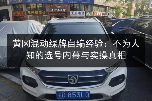 黄冈混动绿牌自编经验：不为人知的选号内幕与实操真相 第2张
