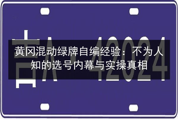 黄冈混动绿牌自编经验：不为人知的选号内幕与实操真相 第3张