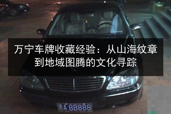 万宁车牌收藏经验：从山海纹章到地域图腾的文化寻踪 第2张