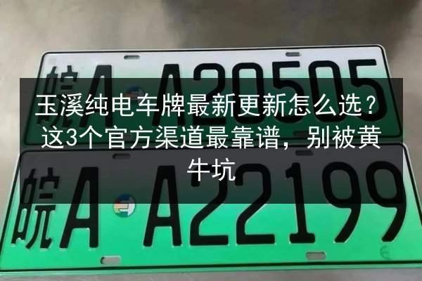 玉溪纯电车牌最新更新怎么选？这3个官方渠道最靠谱，别被黄牛坑
