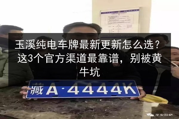 玉溪纯电车牌最新更新怎么选？这3个官方渠道最靠谱，别被黄牛坑 第2张