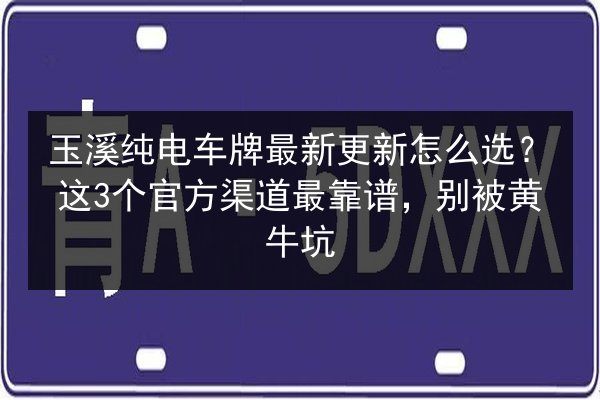 玉溪纯电车牌最新更新怎么选？这3个官方渠道最靠谱，别被黄牛坑 第3张