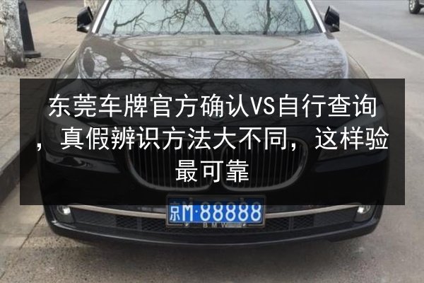 东莞车牌官方确认VS自行查询,真假辨识方法大不同,这样验最可靠 第2张 东莞车牌官方确认VS自行查询,真假辨识方法大不同,这样验最可靠 第2张