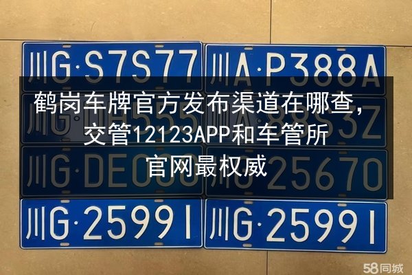 鹤岗车牌官方发布渠道在哪查，交管12123APP和车管所官网最权威