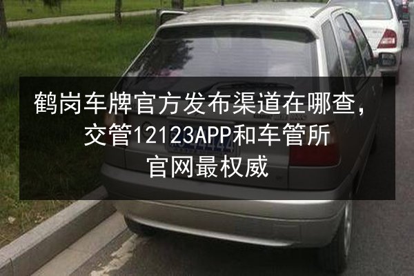 鹤岗车牌官方发布渠道在哪查,交管12123APP和车管所官网最权威 第2张 鹤岗车牌官方发布渠道在哪查,交管12123APP和车管所官网最权威 第2张