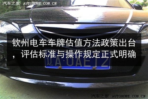 钦州电车车牌估值方法政策出台，评估标准与操作规定正式明确