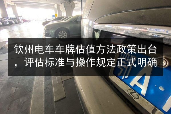 钦州电车车牌估值方法政策出台,评估标准与操作规定正式明确 第2张 钦州电车车牌估值方法政策出台,评估标准与操作规定正式明确 第2张