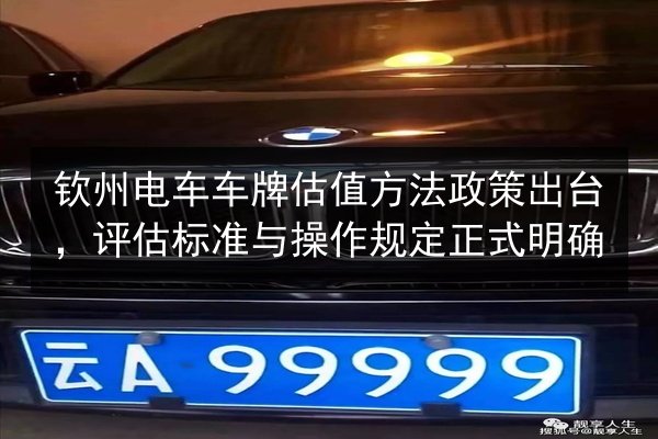 钦州电车车牌估值方法政策出台,评估标准与操作规定正式明确 第3张 钦州电车车牌估值方法政策出台,评估标准与操作规定正式明确 第3张