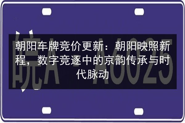 朝阳车牌竞价更新：朝阳映照新程，数字竞逐中的京韵传承与时代脉动