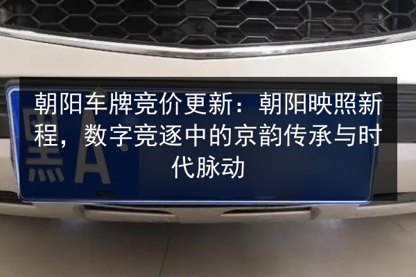 朝阳车牌竞价更新:朝阳映照新程,数字竞逐中的京韵传承与时代脉动 第2张 朝阳车牌竞价更新:朝阳映照新程,数字竞逐中的京韵传承与时代脉动 第2张
