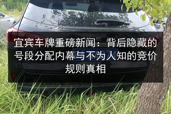 宜宾车牌重磅新闻:背后隐藏的号段分配内幕与不为人知的竞价规则真相 第2张 宜宾车牌重磅新闻:背后隐藏的号段分配内幕与不为人知的竞价规则真相 第2张
