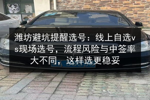 潍坊避坑提醒选号：线上自选vs现场选号，流程风险与中签率大不同，这样选更稳妥 第1张