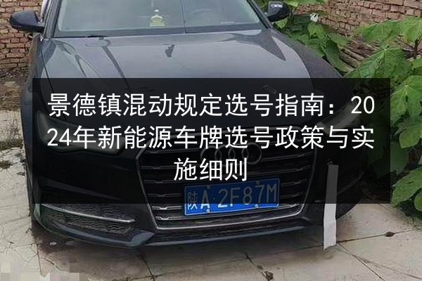 景德镇混动规定选号指南:2024年新能源车牌选号政策与实施细则 第2张 景德镇混动规定选号指南:2024年新能源车牌选号政策与实施细则 第2张