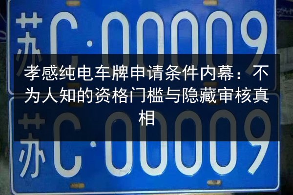 孝感纯电车牌申请条件内幕：不为人知的资格门槛与隐藏审核真相