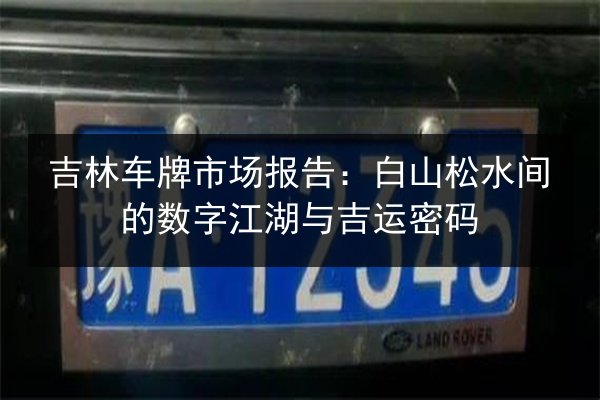 吉林车牌市场报告：白山松水间的数字江湖与吉运密码 第1张