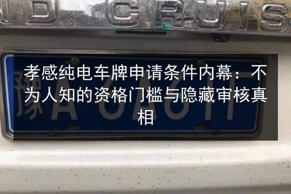 孝感纯电车牌申请条件内幕:不为人知的资格门槛与隐藏审核真相 第3张 孝感纯电车牌申请条件内幕:不为人知的资格门槛与隐藏审核真相 第3张
