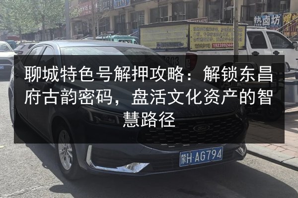 聊城特色号解押攻略：解锁东昌府古韵密码，盘活文化资产的智慧路径