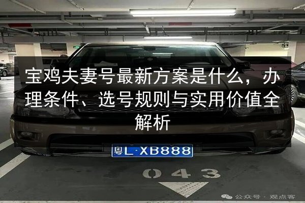 宝鸡夫妻号最新方案是什么，办理条件、选号规则与实用价值全解析