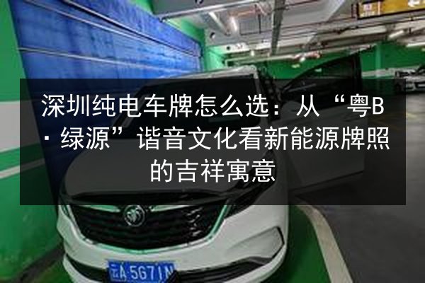 深圳纯电车牌怎么选:从“粤B·绿源”谐音文化看新能源牌照的吉祥寓意 第2张 深圳纯电车牌怎么选:从“粤B·绿源”谐音文化看新能源牌照的吉祥寓意 第2张