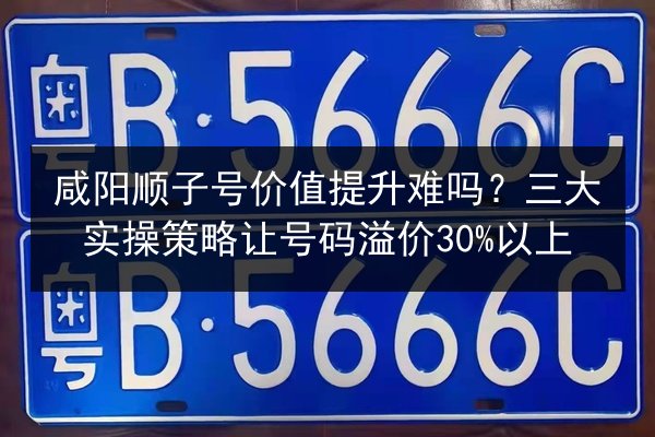 咸阳顺子号价值提升难吗?三大实操策略让号码溢价30%以上 第2张 咸阳顺子号价值提升难吗?三大实操策略让号码溢价30%以上 第2张