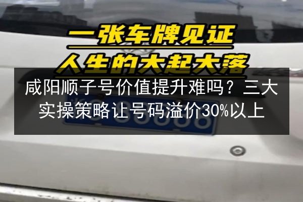 咸阳顺子号价值提升难吗?三大实操策略让号码溢价30%以上 第3张 咸阳顺子号价值提升难吗?三大实操策略让号码溢价30%以上 第3张